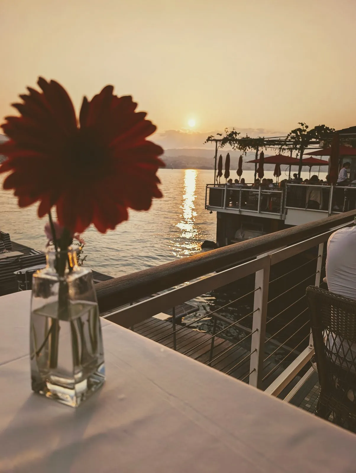 Sonnenuntergang am Zürichsee – Terrasse mit Weitblick